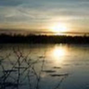 Meet your Posher, Kassie